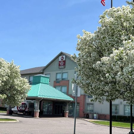Best Western Plus Travel Hotel Toronto Airport Dış mekan fotoğraf